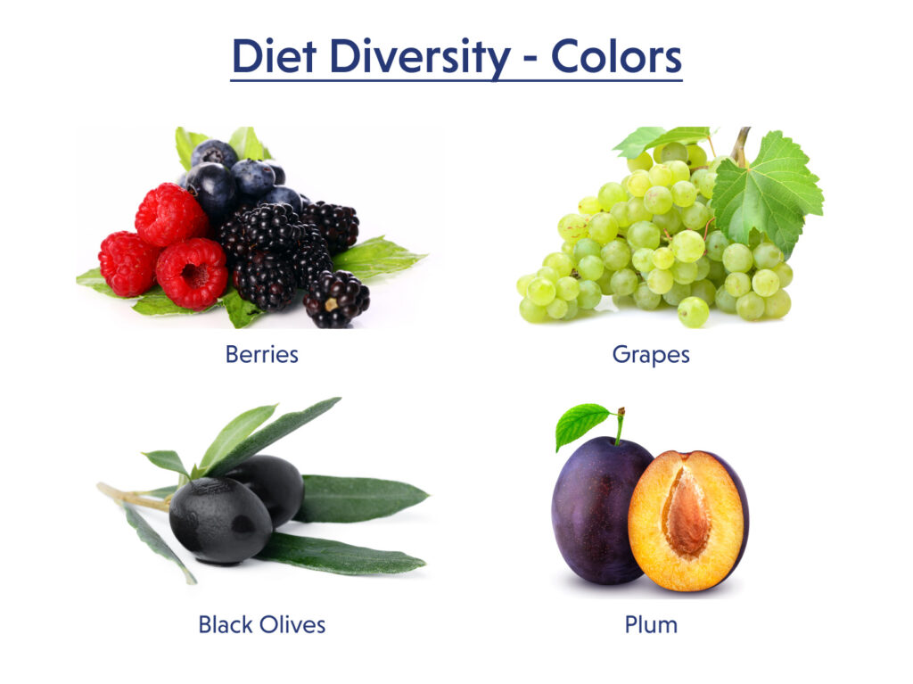 Diet Diversity